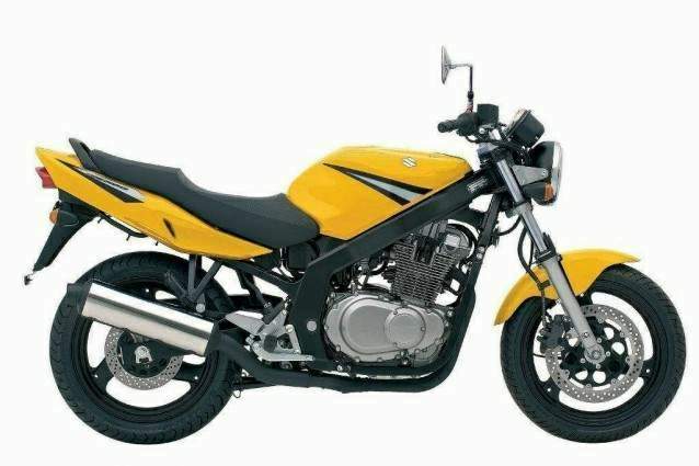 Suzuki gs 500 2004